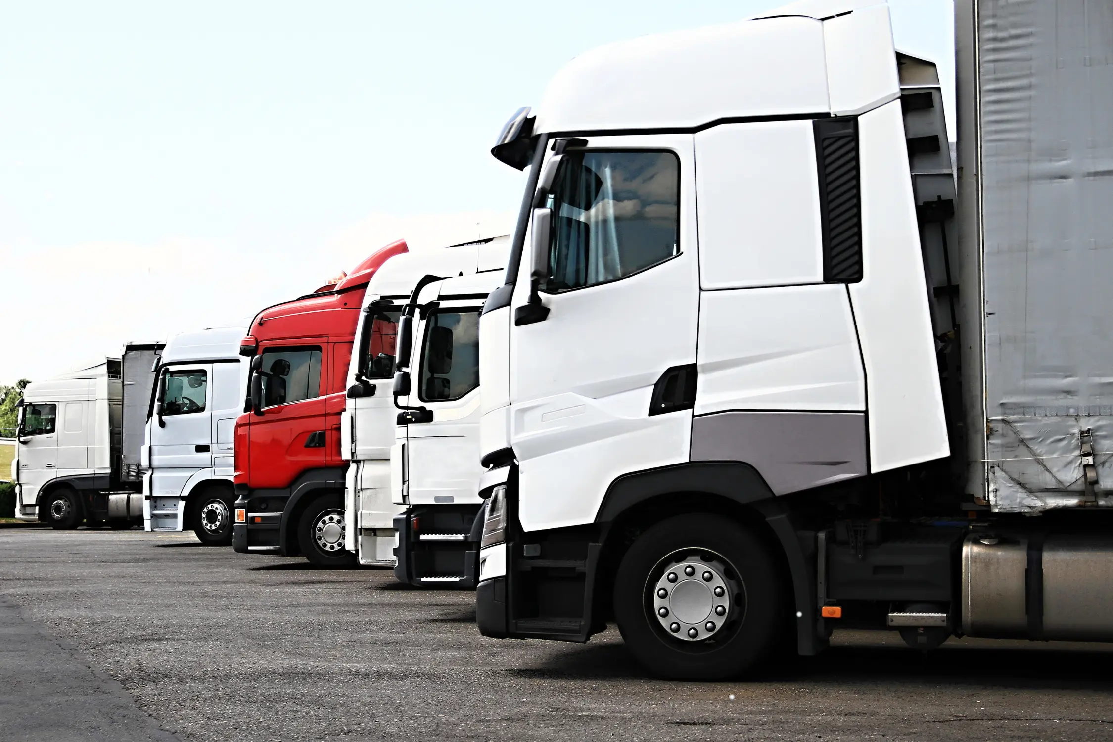 express delivery in Ely